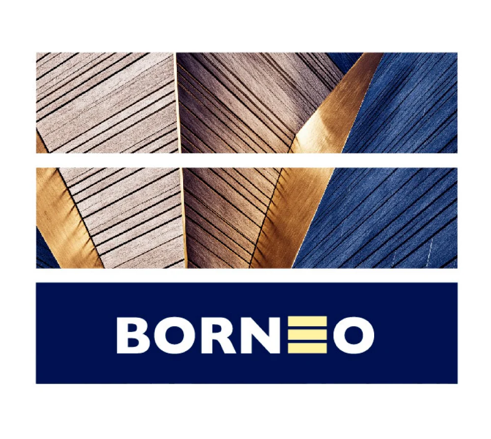 Cusezar Insumos Web Borneo Logo Interna